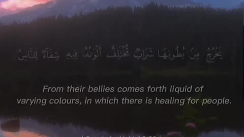 Quran Recitation 🥀✨ #islamic #deen #Allah #Quran #muslim #trending #reel #video #share#short