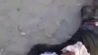 Carnage on Kandahar Streets After Taliban Pull People from Their Homes and Slaughter Them