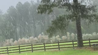 Lightning Strikes Electric Fence