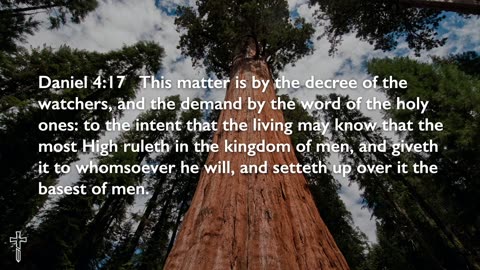 The Tree That Reached To Heaven | Daniel 4