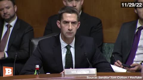 Sen. Cotton RIPS Kroger CEO for Allegedly Firing Workers Who Refused to Wear Gay Pride Symbol
