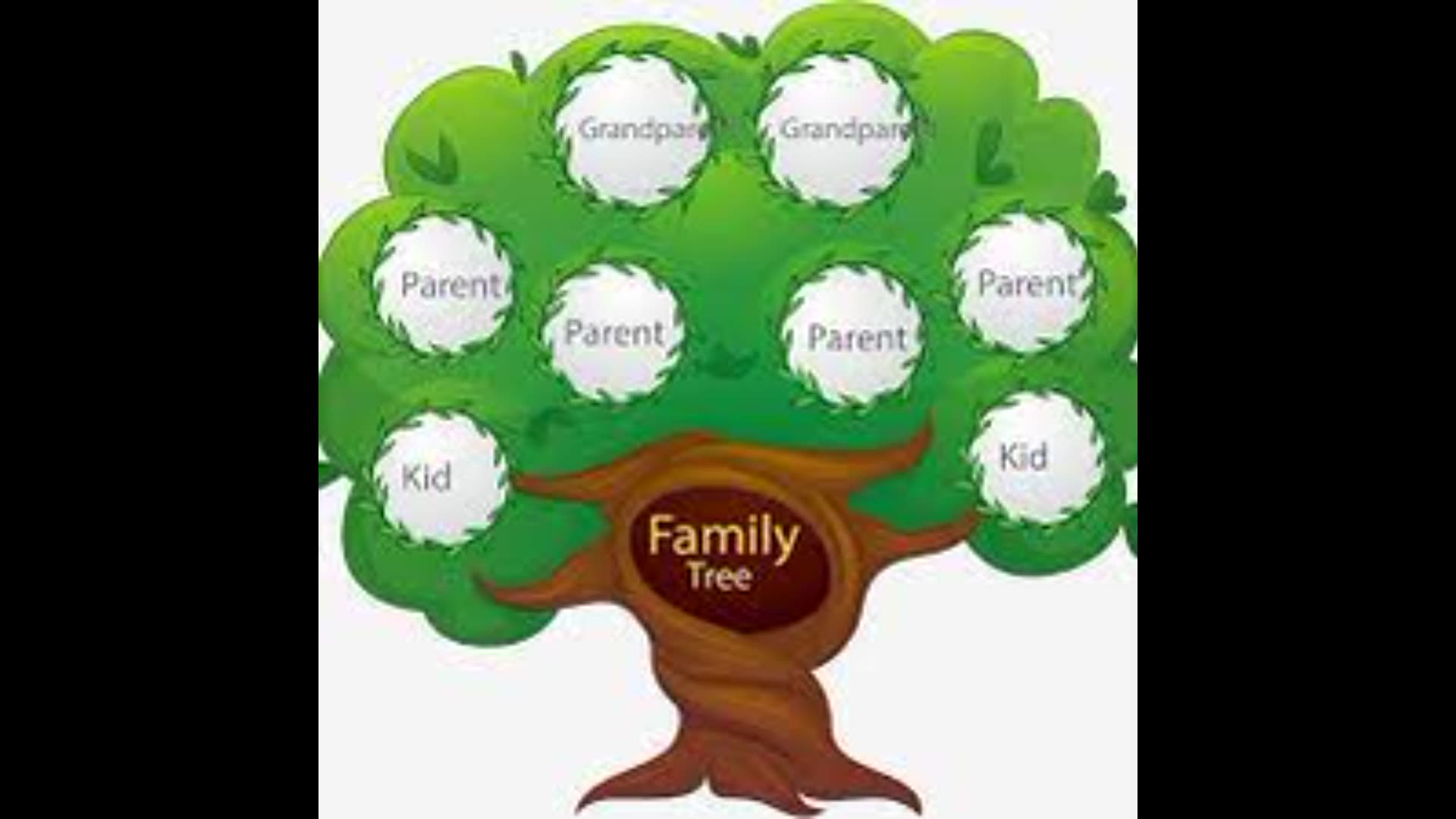 Английский язык дерево проект. Семейное дерево. Генеалогическое Древо макет. Родословная дерево. Дерево для генеалогического древа.