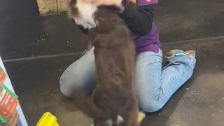 Dog's Emotional Reunion With Her People