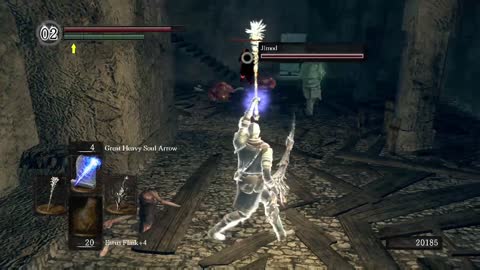 dark souls invader fell to his death