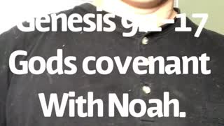 Genesis 9:1-17 Gods covenant with Noah