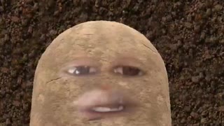 Crazy Potato