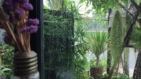 Tropical Indoor Rain Nature Ambience - 1 Hour Scenic Video