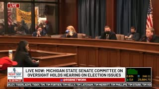 Witness #13 testifies at Michigan House Oversight Committee hearing on 2020 Election. Dec. 2, 2020.