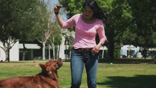 Woman Playing with a Dog