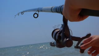 FISHING: Fishing Reel