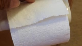 how toilet paper has to be