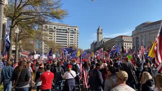 million MAGA March #millionMAGAmarch #stopthesteal