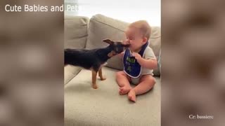Funny dog plays with babies