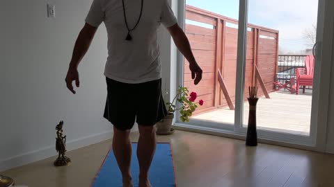 Hatha with Harry - Beginner's yoga 5.1: Tadasana
