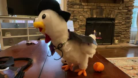 Greatest Halloween Decoration - Farting, Egg Laying Hen in a Halloween Costume