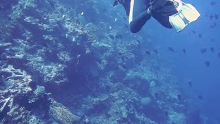 Under water diving
