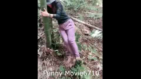 Funny Fails Compilation Mix People and Animals