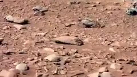 When NASA released a photo from MARS featuring a Lemming 😆😆😆