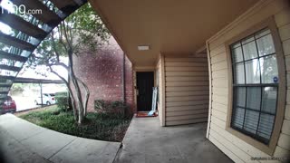 Amazon Delivery Driver Throws Package