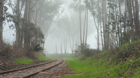 Train tracks lead through the fog, and continues toward the future.