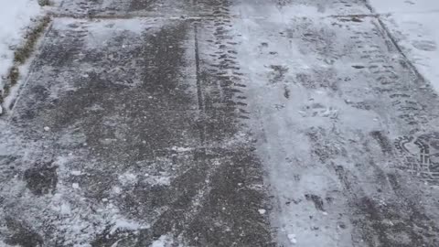 Precious Pup Plays with Ice