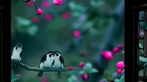 Beautyfull loving birds💜|| Status for nature lover💘..mind relaxing sound by nature