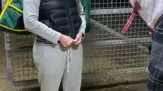 Horse Helps With Zipper