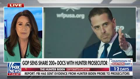 Grassley, Johnson share Hunter Biden's China-linked bank records with US attorney in 200 page letter