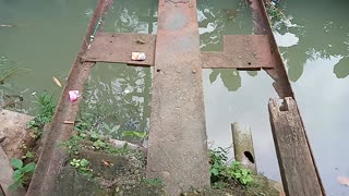 Bridge Almost Collapse