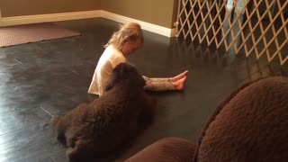 Little girl learns all about her new massive puppy