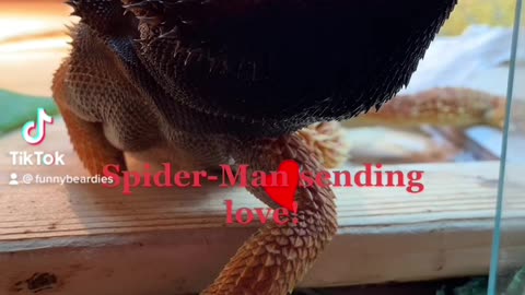 Spider-Man Sending Mad Love!