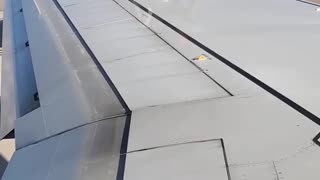 Man Climbs on Plane Wing While on Airport Runway