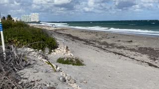 Small Plane Makes Emergency Landing on South Florida Beach