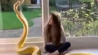 Little girl play with big beautiful snake