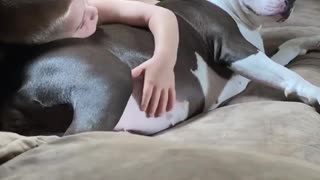 Precious cuddle time between doggy and human best friend