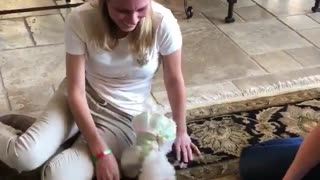 Santa's Doggy Delivery Delights Girl
