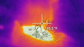 Playing with the flir cell phone