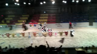 Medieval Scrappin' : Jousting Session