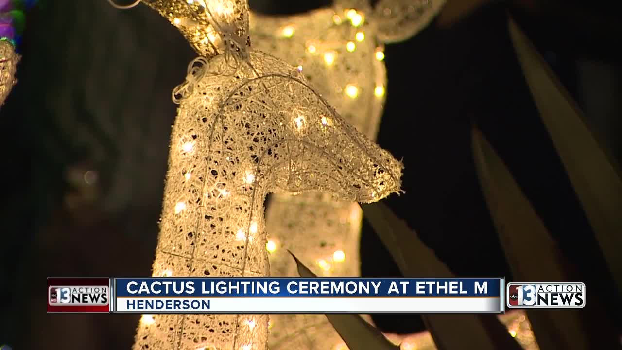 Cactus lighting ceremony at Ethel M
