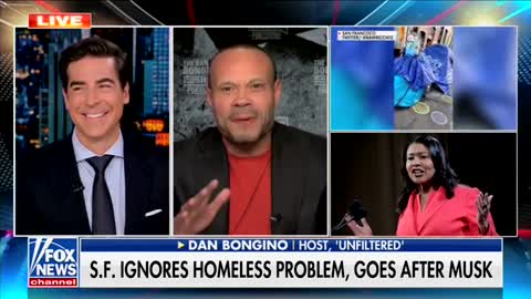 Bongino: San Fran ignores the homeless, goes after Twitter