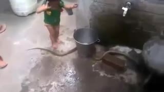 KID PLAYING WITH SNAKE