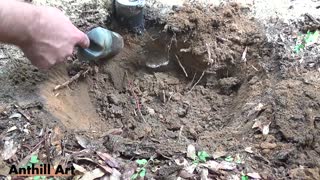 Casting an Aphaenogaster Ant Colony with Molten Aluminum (Cast #066)