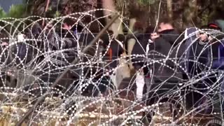Migrants try to break fence on Poland border