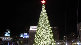 2014 Union Square Christmas Tree Lighting Ceremony