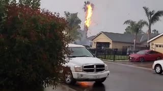 Lightning Sets Palm Tree on Fire