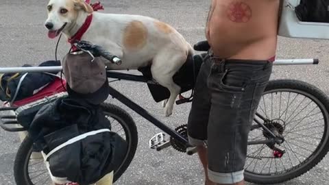 Man takes his animals for a bike ride