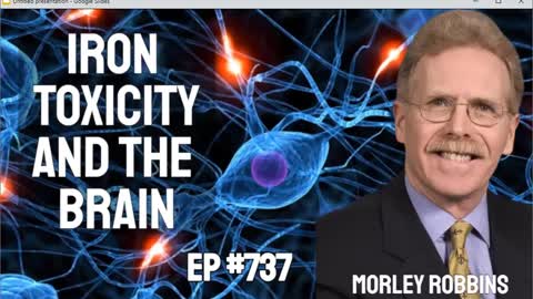 Morley Robbins - Does Iron Overload Cause Alzheimer's, Parkinson's & Dementia?