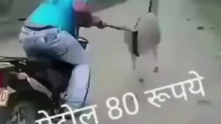 Indian funny moments
