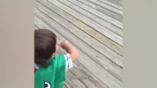Funny Baby Videos #HilariousBabies