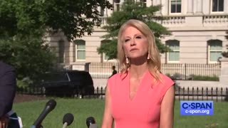Kellyanne Conway torches WH reporter